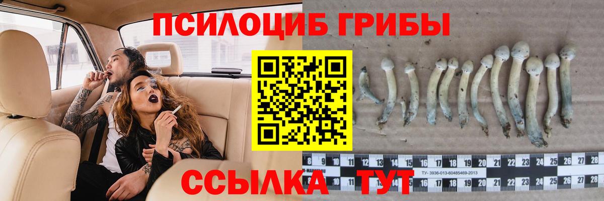 Псилоцибиновые грибы мухоморы  Вход с VPN  Липецк 